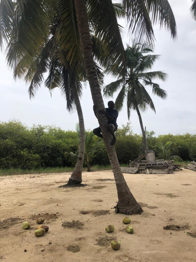 Natura Luxury Lodge Ouidah Экстерьер фото